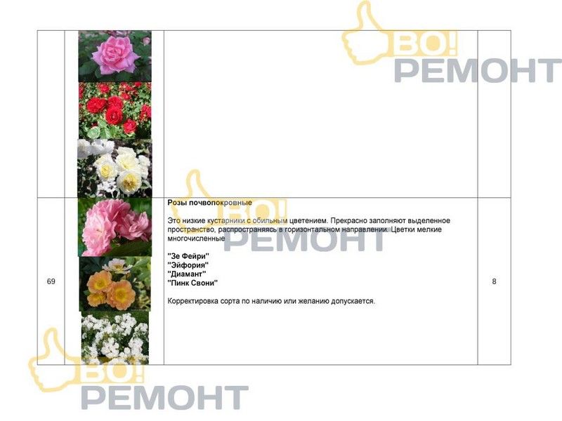 Проект благоустройства территории-102